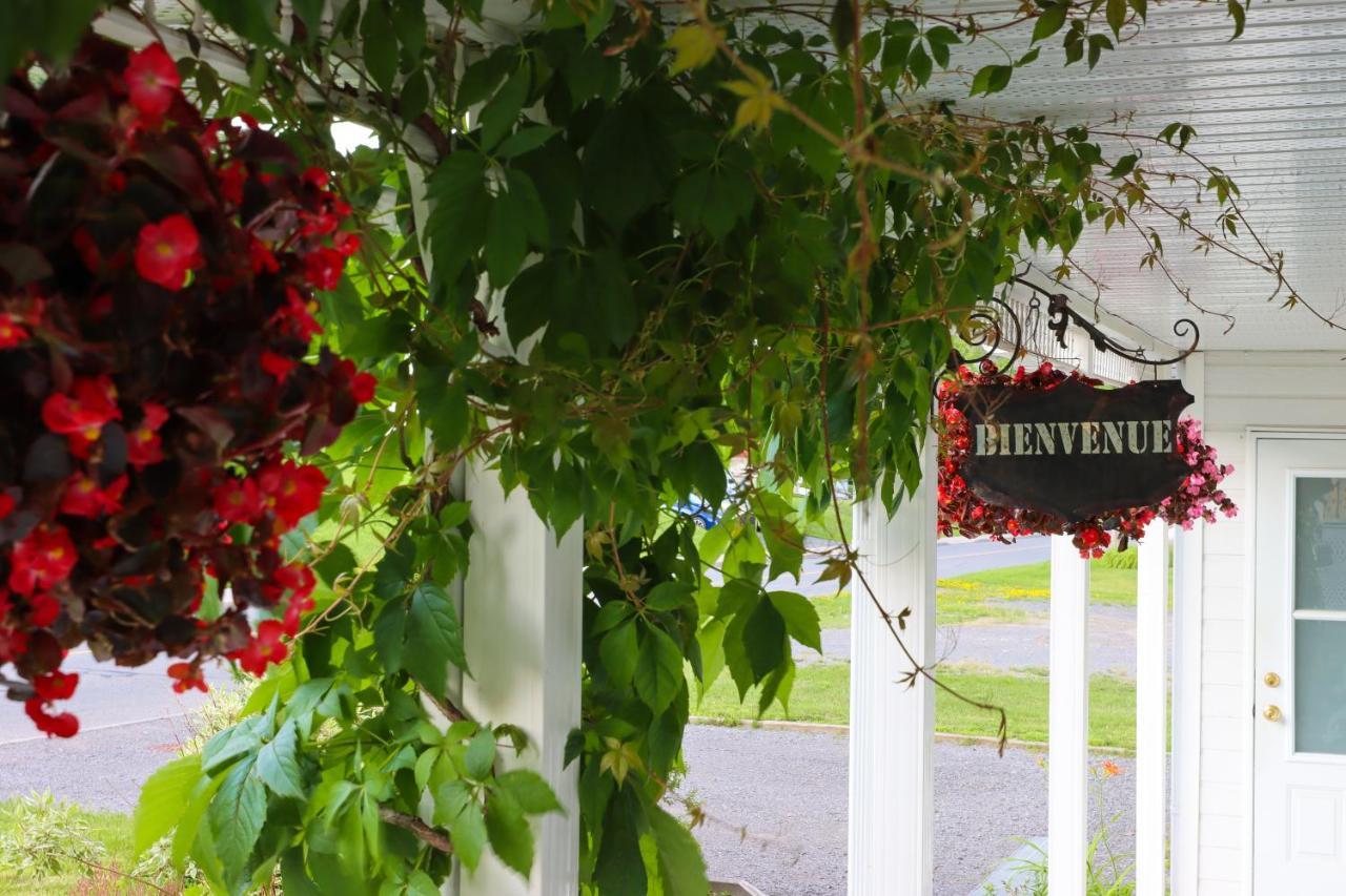 Bed & Breakfast, Gite La Princesse Des Champs Saint-Jean-de-Boischâtel Exterior foto